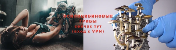 амф Абдулино