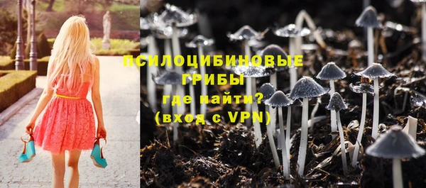 прущие грибы Алексин